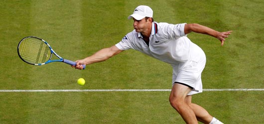 Roddick in scioltezza. Out Wawrinka