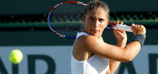 Schiavone a rullo, impresa Errani