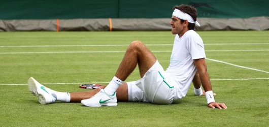 Ok Nadal e Murray. Attento Delpo