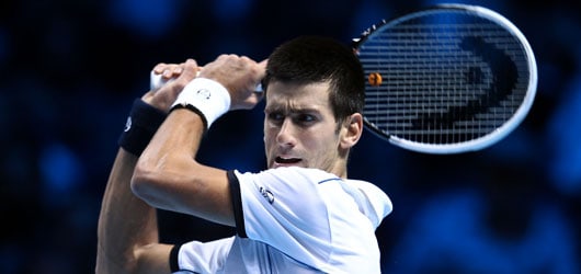 Djokovic e Ferrer in finale