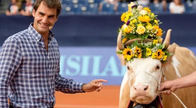 Federer: ecco Desirée. Un’altra mucca per Roger
