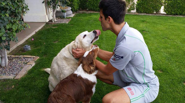 Djokovic a Montecarlo gioca… da cani