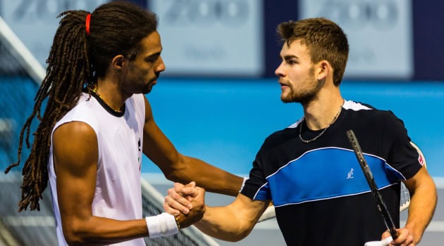 Grigelis in cerca di gloria