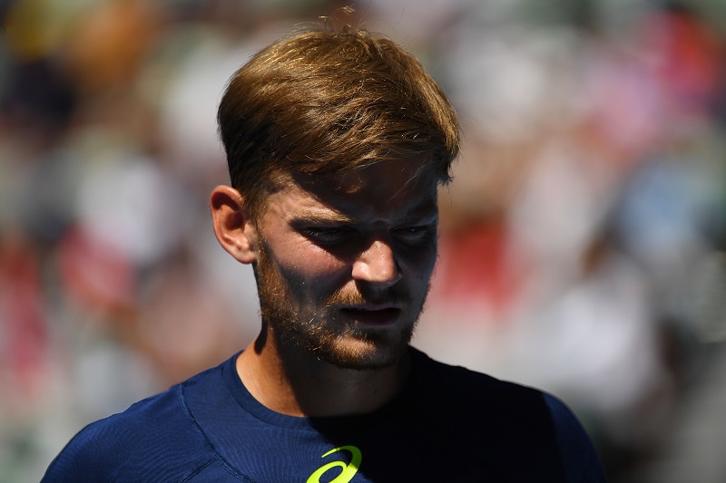 La marcia del soldatino Goffin