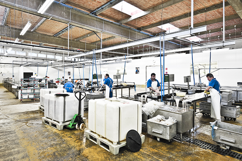 LA FABBRICA DEL BUDELLO