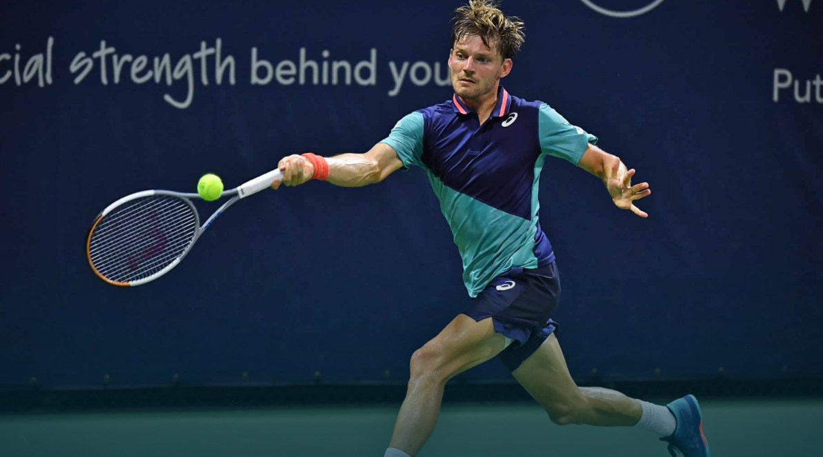 Cambio di attrezzo per David Goffin?