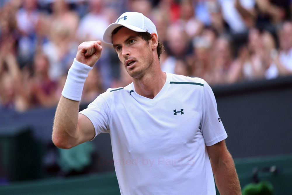 Andy Murray riceverà una wild card per il Miami Open