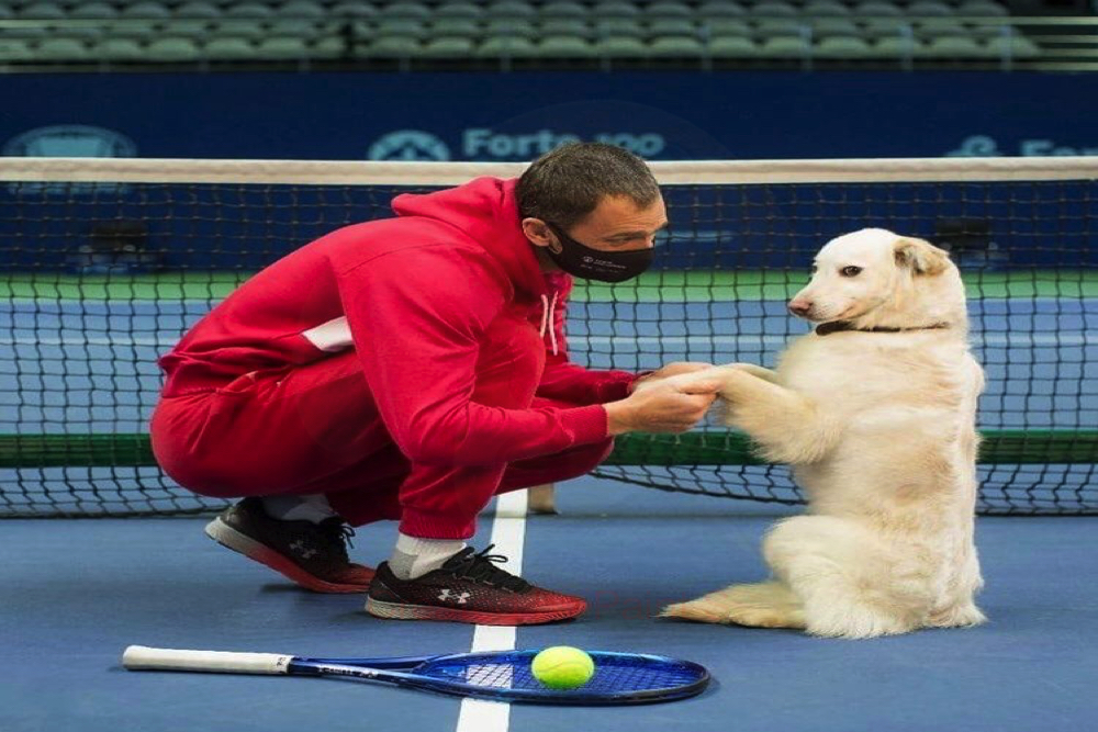 Nur-Sultan, tennisti e cani trovatelli in un servizio fotografico: partite le adozioni (FOTO)