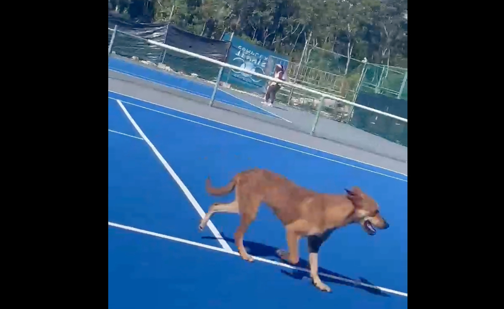 Itf 25k Cancun, Sachia Vickery: “Questo è di gran lunga il peggior torneo in cui abbia mai giocato” (VIDEO)