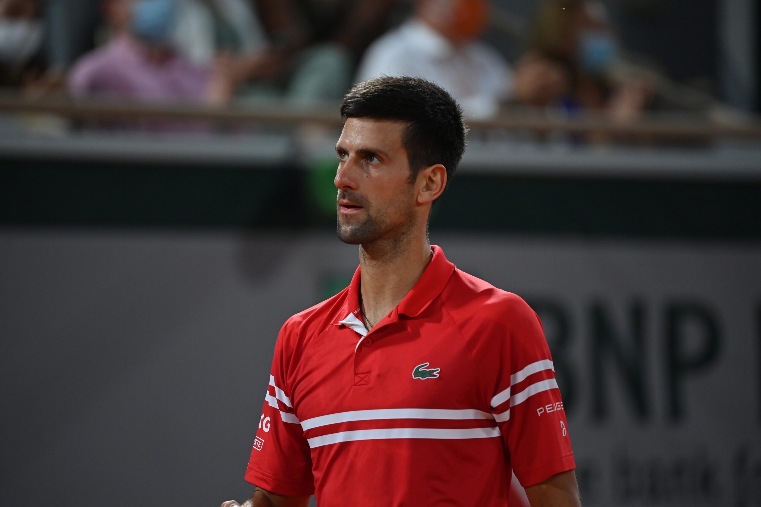 Novak Djokovic ricorda Sinisa Mihajlovic: “Il tuo marchio è indelebile”