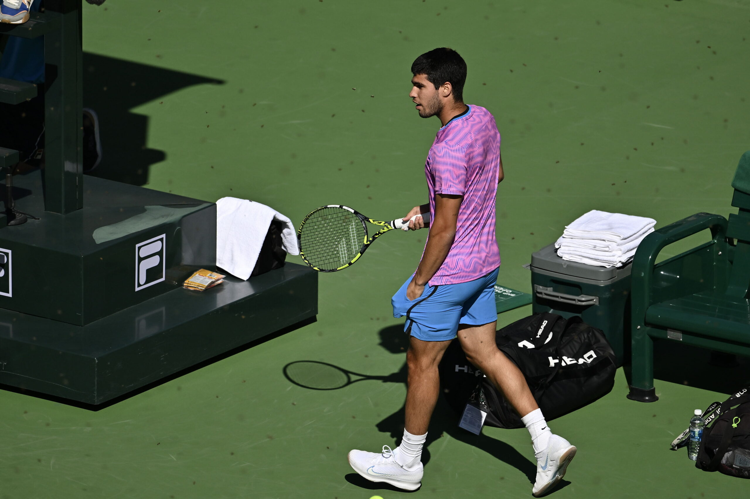 Incredibile a Indian Wells, l’invasione delle api blocca Alcaraz e Zverev (VIDEO)