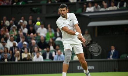 Novak Djokovic: “Non esiste la formula del successo. Alcaraz? Vincerà tanti Slam, ma non domenica…”