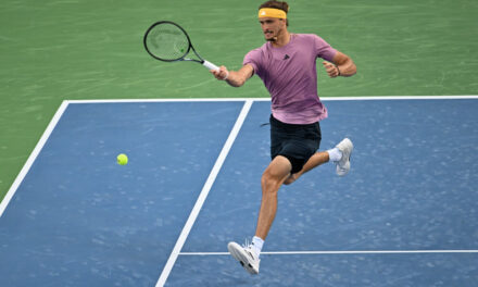 Una piuma interrompe il punto e fa infuriare Zverev!