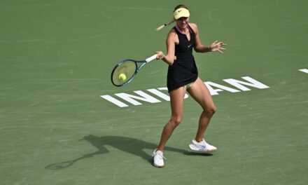 Potapova-Shevchenko divorzio lampo: quante coppie scoppiano?