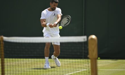 Djokovic e l’esultanza condivisa con la figlia Tara: il balletto è già diventato virale