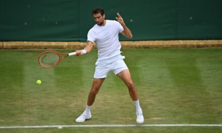 Fognini, Djokovic, Cilic, una generazione di “vecchietti” terribili