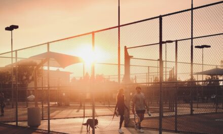 Colpo di fulmine: L’amore della mia vecchiaia